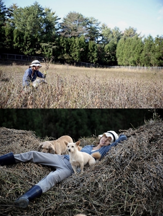 제주도에서 소박하게 생활하던 이효리. 그러나 호기심에 찾아오는 관광객들로 인해 이 평화가 깨지고 있다. /이효리 블로그