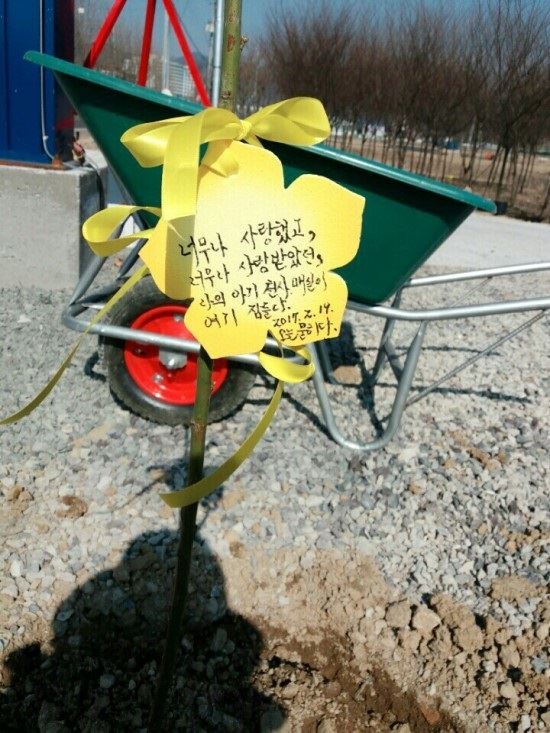 반려견, 눈물로 돌아오다! 지난 19일 다음 아고라에서 화제가 된 매실이의 장례식 장면./블로그 뭉치네 이야기