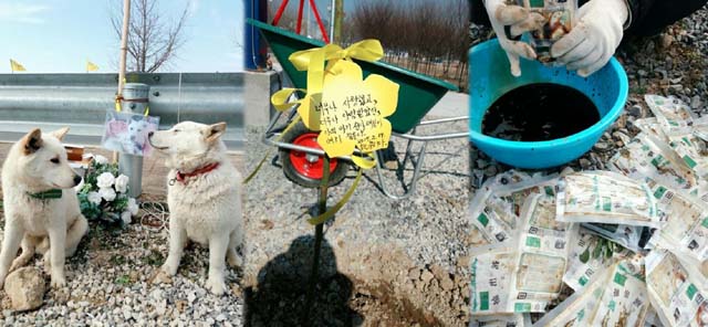 눈물의 장례식! 개소주 논란으로 많은 사람들을 놀라게 한 매실이의 장례식이 19일 펼쳐졌다. /블로그 뭉치네 이야기