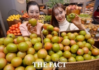[TF포토] 신세계, '당도 높은 대저 토마토 할인 판매'