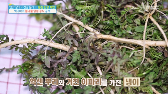 나물 종류. 봄에는 냉이, 봄동 등의 나물이 제철이다. /MBC 기분 좋은 날 방송 화면 캡처