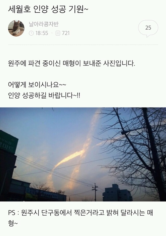 세월호 구름 리본이 온라인을 뜨겁게 달구고 있다. /다음 카페 소주담(談) : 소소한 주민들의 이야기 출처