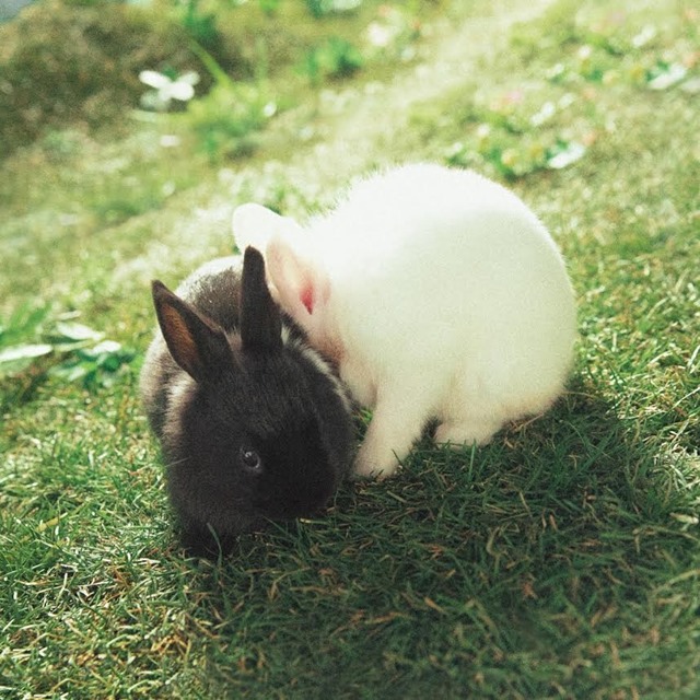 지코 쉬스 어 베이비 재킷 이미지. 지코 신곡 쉬스 어 베이비는 사랑에 빠진 남자가 여성에게 느낀 감정을 솔직하게 담아낸 고백송이다. /세븐시즌스 제공