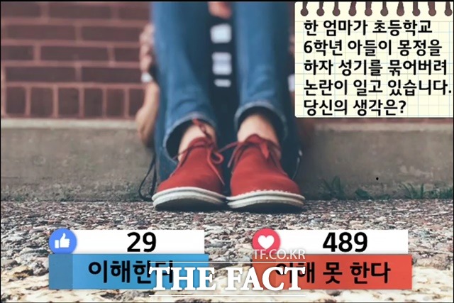 몽정, 자연스러운 현상! 이해 못 한다. 초등학교 6학년 아들이 몽정을 하자 성기를 묶은 부모에 대해 <더팩트> 독자들은 이해 못 한다는 의견을 냈다./더팩트 페이스북 캡처