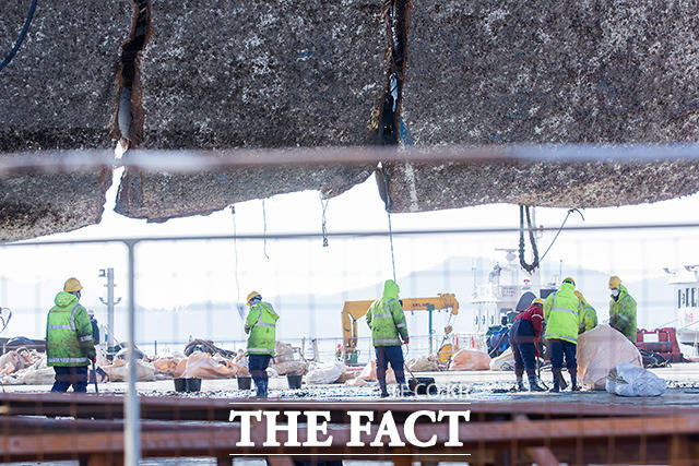 세월호 시랍화된 미수습자 추정 시신 첫 발견. 13일 해양수산부는 세월호 객실에서 시랍화된 미수습자 여학생 추정 시신을 처음으로 발견했다고 밝혔다. /임세준 기자