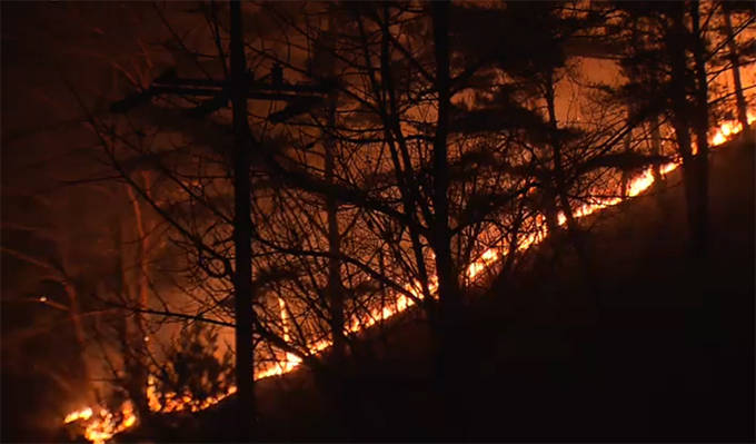 서울 관악구 신림동 소재 삼성산에서 이틀 연속 화재가 발생했다. /YTN방송화면