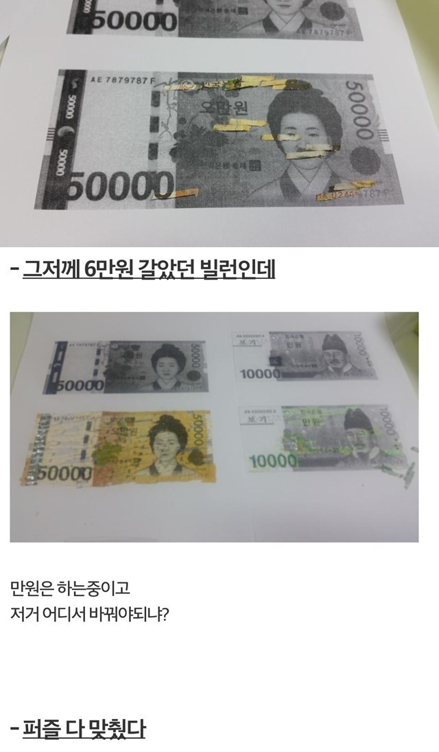 의지의 한국인은 달랐다. 그는 결국 산산조각난 지폐를 퍼즐 조각 맞추듯 원래와 비슷한 형태로 만들었다./온라인 커뮤니티 캡처