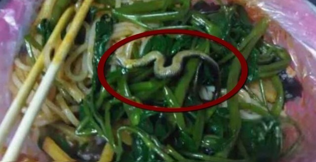 중국 남부 광시성의 한 쌀국수 식당에서 판매한 쌀국수에서 뱀이 발견돼 중국 당국이 문제의 식당을 폐쇄 조치했다. /온라인 커뮤니티