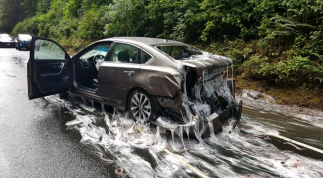 미국 오리건주의 한 도로에서 먹장어 3톤을 실은 트럭이 사고를 내 먹장어 수천 마리가 도로 위로 쏟아졌다. /오리건주 주 경찰 트위터(@ORPolice)