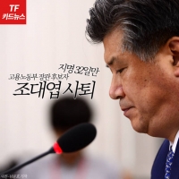 [TF카드뉴스] 국회 정상화 이유?…조대엽 '자진사퇴' 막전막후