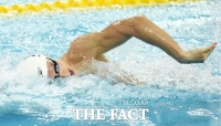  [세계수영선수권] 박태환, 자유형 400m 결승 진출