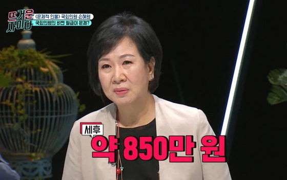 더불어민주당 손혜원 의원은 10일 온스타일 뜨거운 사이다에 출연해 국회의원의 세후 월급 규모를 공개했다. /온스타일 방송화면