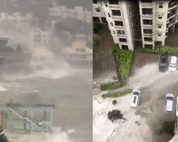  [TF영상] 홍콩 태풍 '하토' 중국 남부 강타! '안전지대는 없다'