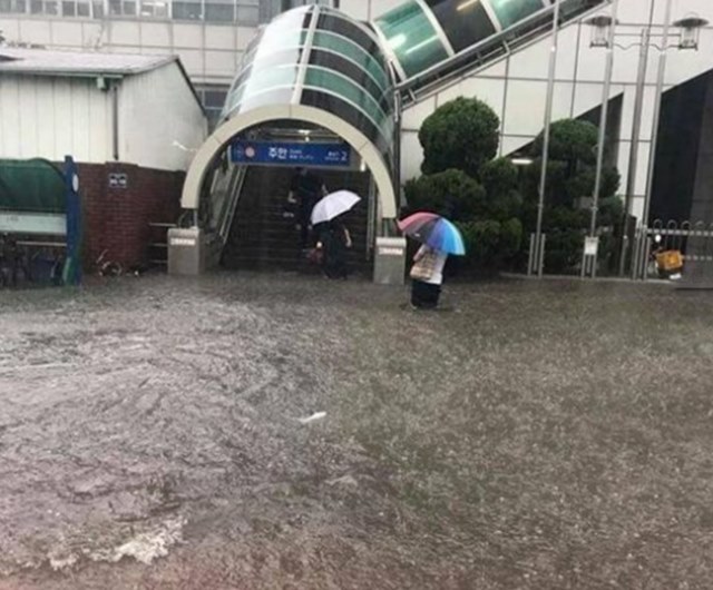 인천지역에 내린 폭우로 침수 등 피해가 속출하고 있다. /온라인 커뮤니티