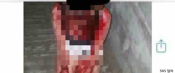 부산 여중생 폭행 사건의 피해 여중생이 온 몸에 피를 흘린 채 무릎을 꿇은 상태로 폭행을 당하고 있다. /온라인 커뮤니티