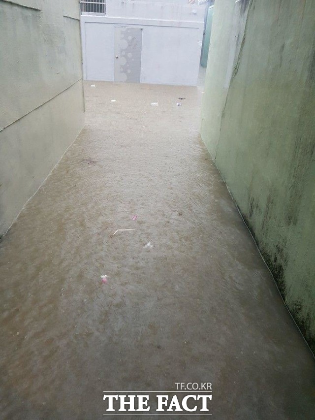 부산시 연산구 한 주택가 이면도로가 11일 오전 부산 지역에 내린 폭우로 침수됐다. /독자 제공