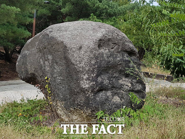 중랑구  봉화산 유인원 얼굴 바위(일명 해골바위),  얼굴 모양과 두상은 사물에 깃든 시간의 흔적이다.
