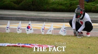 [TF포토] 국회 잔디밭에 태극기 심는(?) 박사모