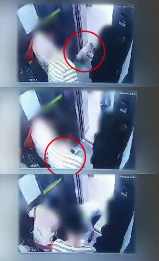 지난달 30일 가수 최시원의 가족이 기르는 프렌치불독이 서울의 한 아파트 승강기에서 유명 한식당 한일관 대표 김모 씨를 물어 죽음에 이르게 했다. /SBS 방송화면 캡처