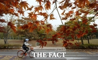 [TF포토] 가을 향기 가득한 일산호수공원