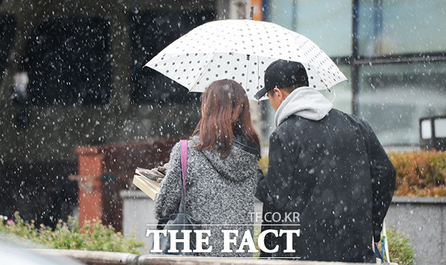 20일 서울지역에 눈발이 날리고 있는 가운데 서울지역에 첫눈이 가장 빨리 온 해는 1981년 10월23일이며 가장 늦은 시기는 1948년 12월31일이다. /더팩트 DB
