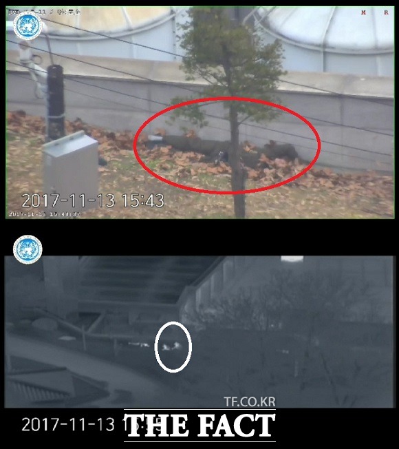 귀순 북한 병사(붉은색 타원)가 지난 13일 군사분계선을 넘다가 총을 맞고 쓰러진 장면. 구출을 위해 판문점 공동경비구역 소속 대원들(하얀색 타원)이 낮은 포복으로 접근하고 있다. /유엔군사령부 CCTV 갈무리