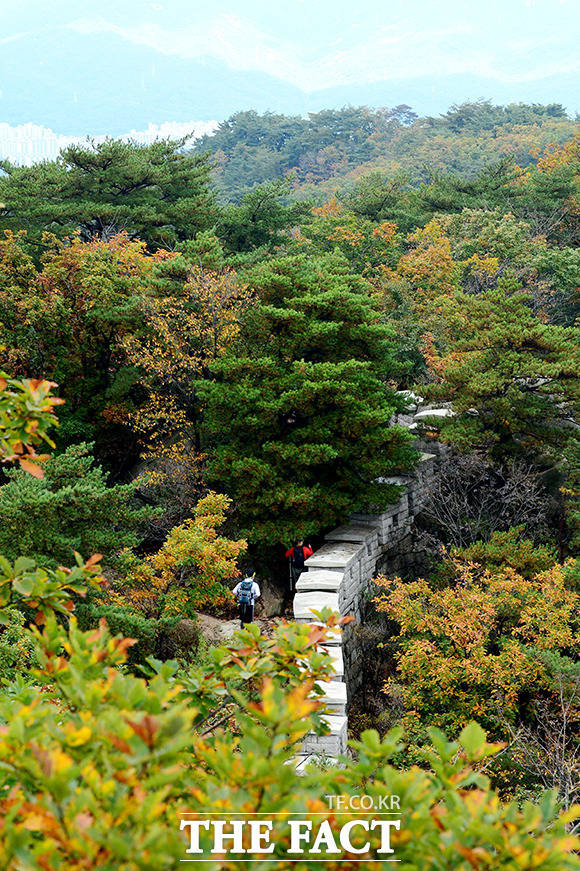 모든 것을 잃어 가진 게 없는 약한 사람들이 살 수 있는 곳이 산이다. IMF 때 산을 찾으면서 사람들은 물질적 소유, 풍요가 없이도 얼마든지 편안하고 행복하게 살 수 있다는 ‘소박한 행복’을 배웠다./더팩트DB