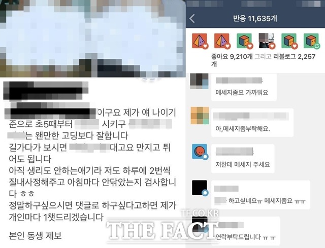 최근 한 텀블러 이용자 자신의 블로그에 미성년으로 보이는 여성의 사진을 올리며 강간 모의를 한 것으로 확인됐다. /독자 제보