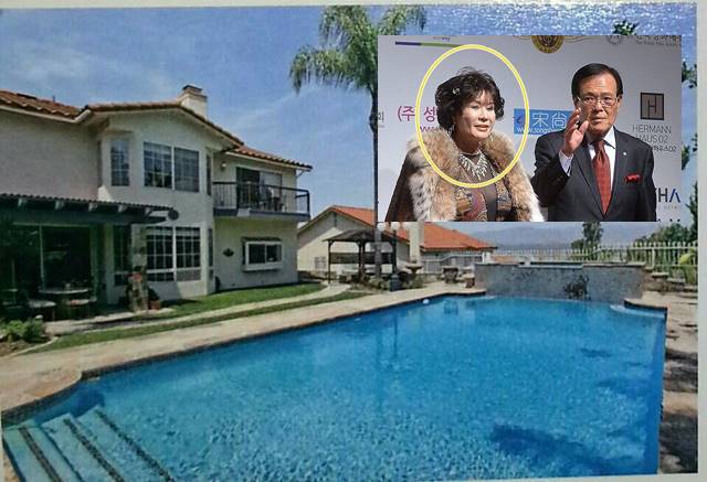 줄리아 리가 공개한 LA 저택 사진. 해당 저택에는 입구에 수영장이 크게 지어져 있다. /줄리아 리 제공, 더팩트 DB