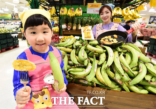 이마트가 요리용 바나나 품종 플랜틴 바나나를 출시한 가운데 19일 오전 서울 용산구 이마트 용산점에서 모델들이 바나나를 선보이고 있다. /임세준 기자