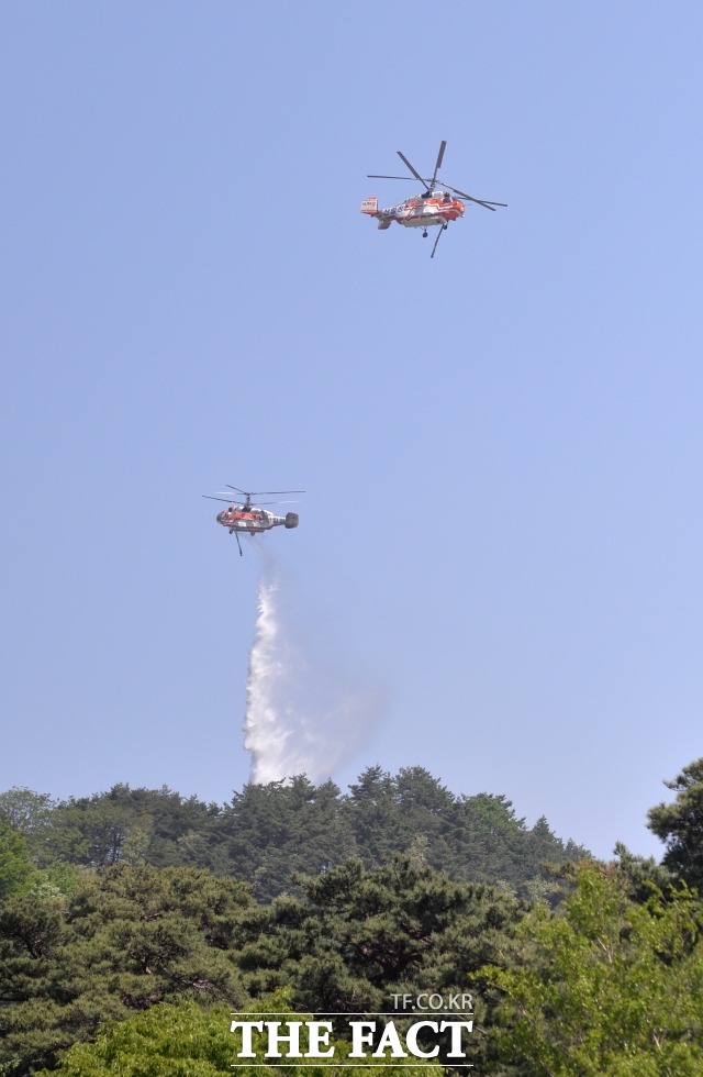 26일 오후 2시 경 경기도 파주시 파평면 부근 한 야산에서 불이나 오후 6시 반 경 진화됐다.(기사는 사진과 무관함)/ 더팩트 DB