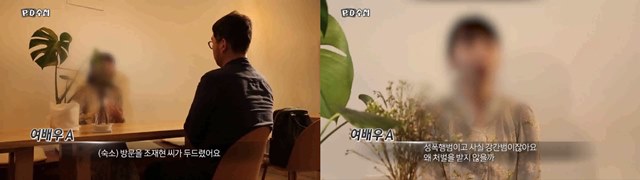 성폭행범이고 사실 강간범. 6일 방송된 MBC PD수첩에서 김기덕 감독, 배우 조재현에게 성폭력을 당한 피해자들이 피해를 호소했다. /MBC PD수첩 방송 캡처