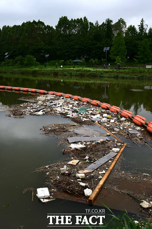 사흘간 전국에 걸쳐 내리던 폭우가 소강 상태를 보인 18일 오후 서울 서초구 양재천 일대에는 폭우로 인해 쓸려 내려온 쓰레기가 쌓여있다. /임세준 기자
