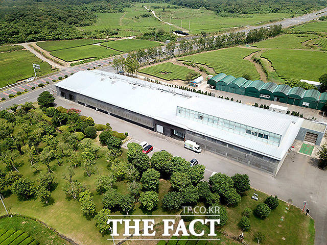 오설록농장에서 생산된 차 원료는 식음료뿐 아니라 화장품‧생활용품에도 쓰여 그룹의 미래를 길어올리고 있다. 농업회사법인 오설록농장 건물 전경. /서귀포=이효균 기자