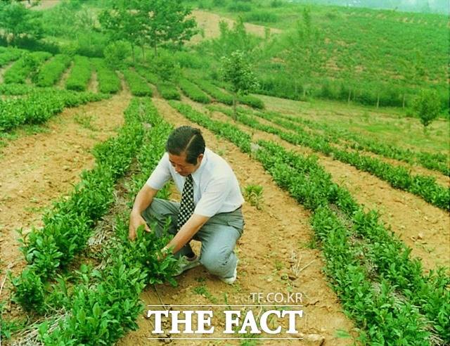 아모레퍼시픽그룹 이색계열사 농업회사법인 ㈜오설록농장은 그룹 창업자 고(故) 서성환 선대회장(사진)의 차(茶) 문화 부흥에 대한 열망에서 출발했다. 사명은 선대회장 호(號·본명 이외에 쓰는 이름)를 딴 주식회사 장원(粧源)을 사용하다가 2016년 현재 이름으로 바뀌었다. /아모레퍼시픽그룹 제공