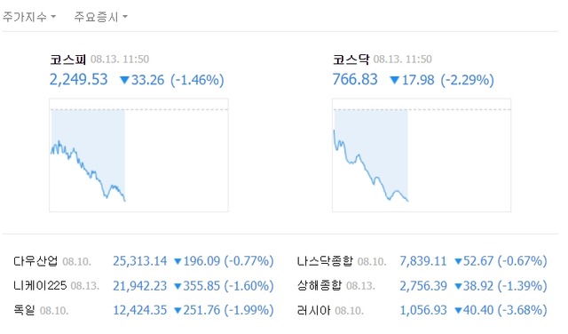 터키발 악재에 글로벌 증시도 타격을 받고 있다. /네이버 캡처