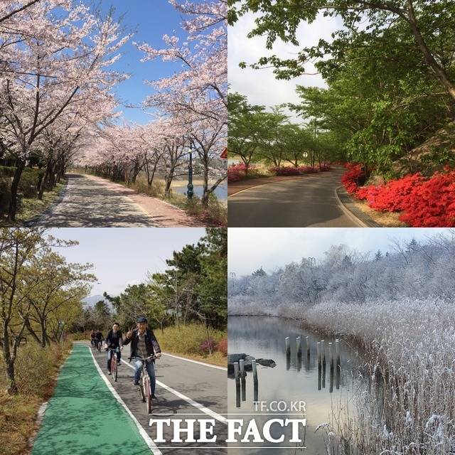 영랑호를 둘러싼 산책로는 사계절의 미학을 만끽할 수 있다. 사진은 박수동 영랑호 리조트 총지배인이 직접 제공한 영랑호변 산책로의 계절별 사진.