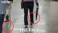  [TF영상] 출퇴근길 '우산 사고' 급증! '안전 에티켓' 꼭 지키세요