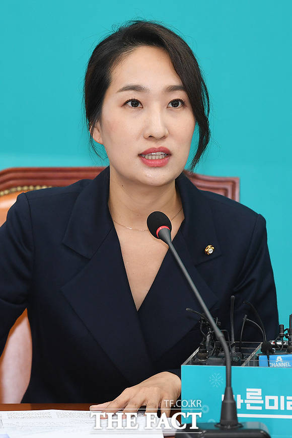 김수민 바른미래당 의원은 HOT와 방탄소년당 등 유명그룹 가수들의 콘서트에 고가의 암표가 기승한다고 지적했다. / 더팩트 DB