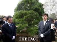 [TF포토] 평양 '노무현 소나무' 앞, 눈시울 붉히는 방북단