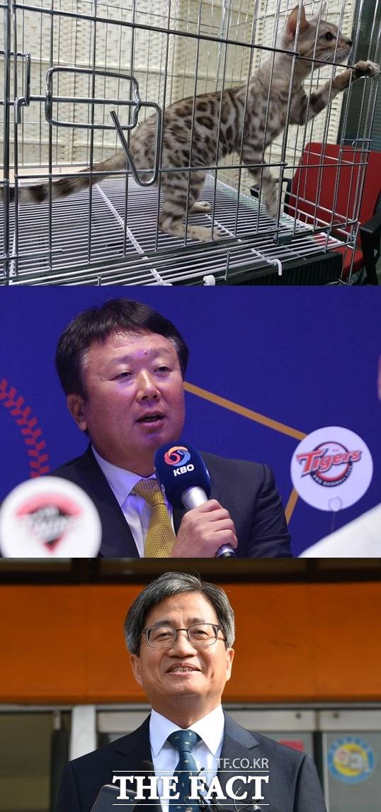 10일 국회 국정감사가 시작된 가운데, 감사장에는 평소 국회에서는 볼 수 없었던 이색적인 광경이 펼쳐졌다. /김진태 의원실(맨위)·더팩트 DB