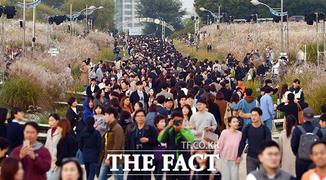 서울억새축제를 즐기기 위해 많은 시민들이 하늘공원을 찾았습니다.