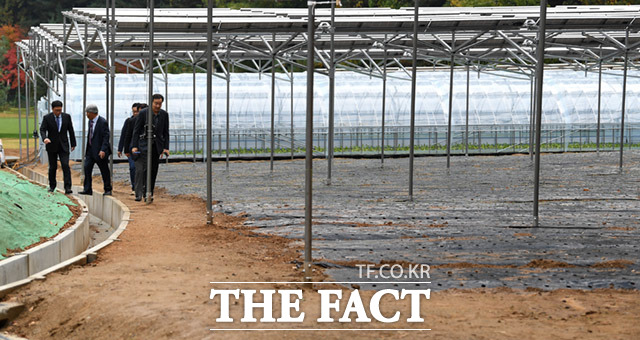 태양광 발전시설 하단에는 농작물을 키울 수 있는 공간이 확보되어있다.