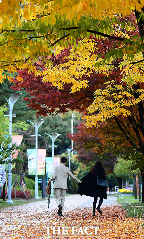 오전내 가을비가 촉촉히 내린 뒤 선선한 가을 날씨를 보인 26일 오후 서울 마포구 하늘공원 일대를 찾은 시민들이 낙엽이 떨어진 거리를 거닐고 있다. /이동률 기자