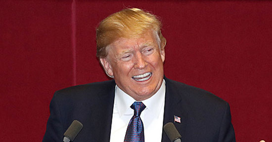 도널드 트럼프 미국 대통령은 28일(한국시간) 자신의 사회관계망서비스(SNS) 트위터를 통해 LA다저스가 4-0으로 앞선 7회 초 투수 교체 상황을 언급하며 엄청난 실수를 했다고 데이브 로버츠 감독의 투수 운용을 지적했다. /더팩트 DB