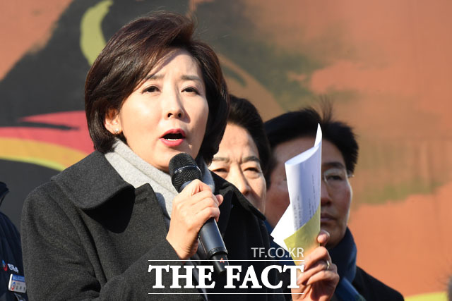 총파업 집회 참석한 나경원 자유한국당 대표