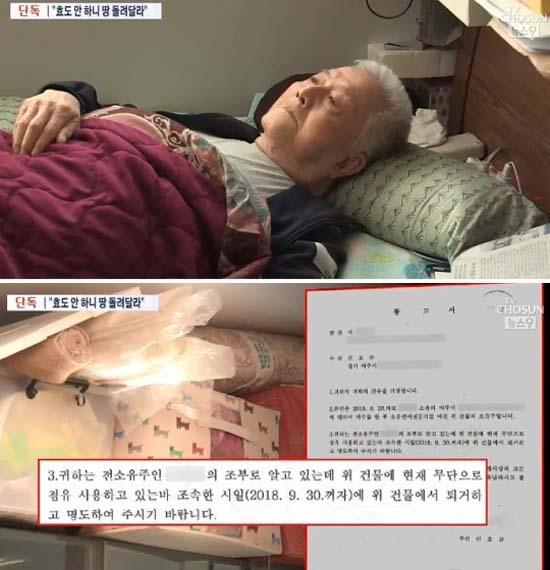 TV조선은 지난 2일 신동욱의 조부와 인터뷰 내용을 내보냈다. /TV조선 뉴스9 캡처