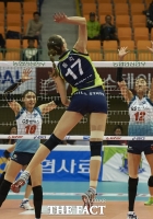 [배구토토] 2018-19 V리그 대상 배구토토 스페셜 3,4회차 연속 발매