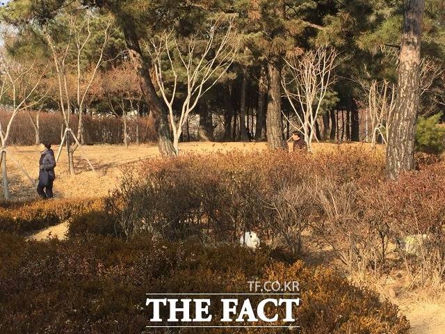 주민들은 많이들 버리고 갔다며 빈번한 토끼 유기에 안타까운 마음을 전했다. 공원에서 산책 중인 시민과 풀숲에 숨은 토끼 모습. /임현경 기자