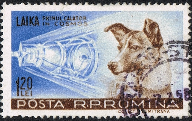 루마니아에서 발행된 라이카 기념 우표. /온라인 커뮤니티 갈무리